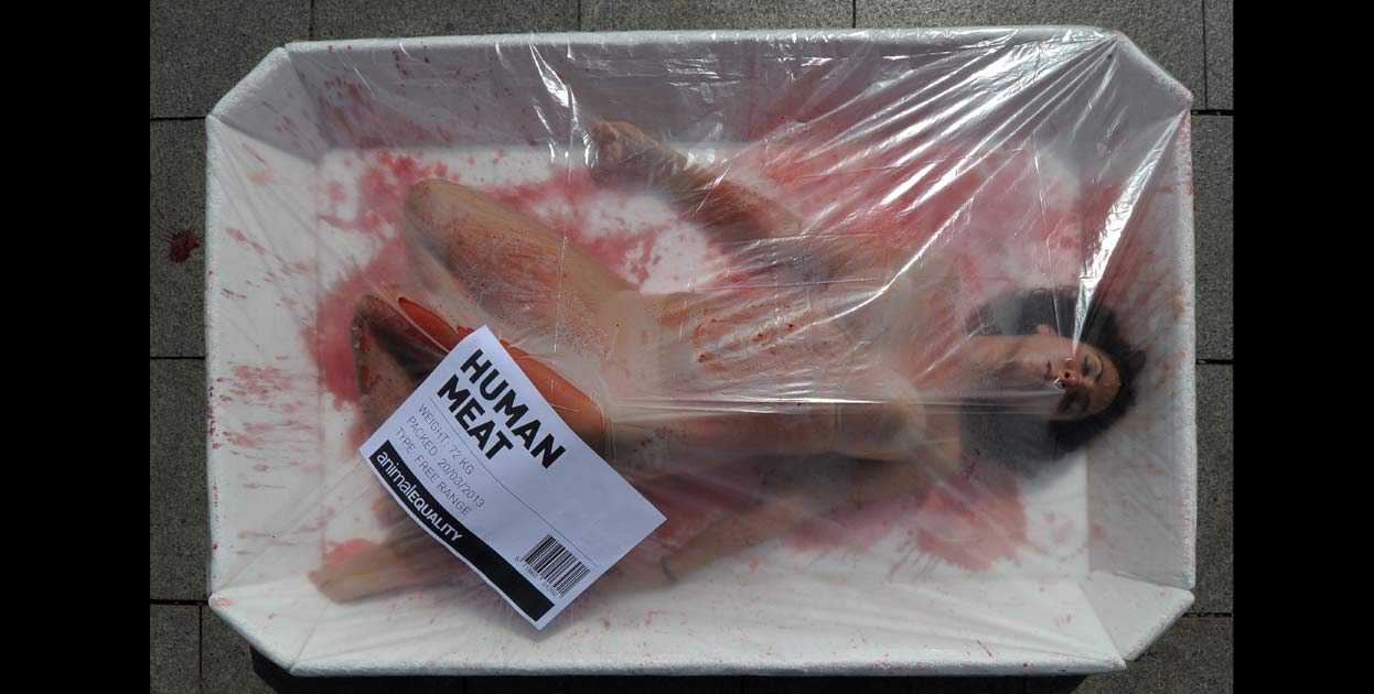 Tres bandejas de carne humana se instalarán en Concepción