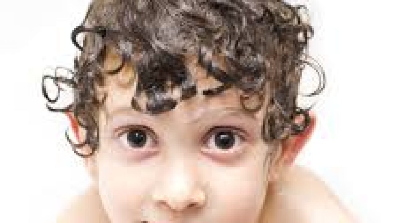 infusion de romero para eliminar piojos