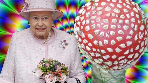 Descubren hongo alucinógeno en los jardines de la Reina Isabel