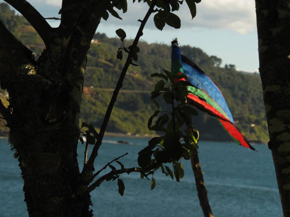 Familia mapuche se resiste a inminente desalojo de tierras que les usurparon en dictadura