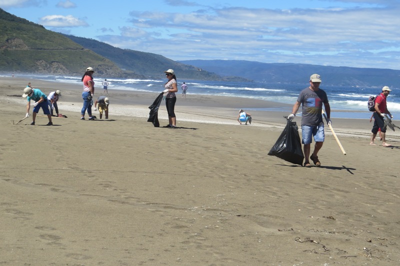 Valdivia: limpian playa y retiran más de 300 kilos de basura