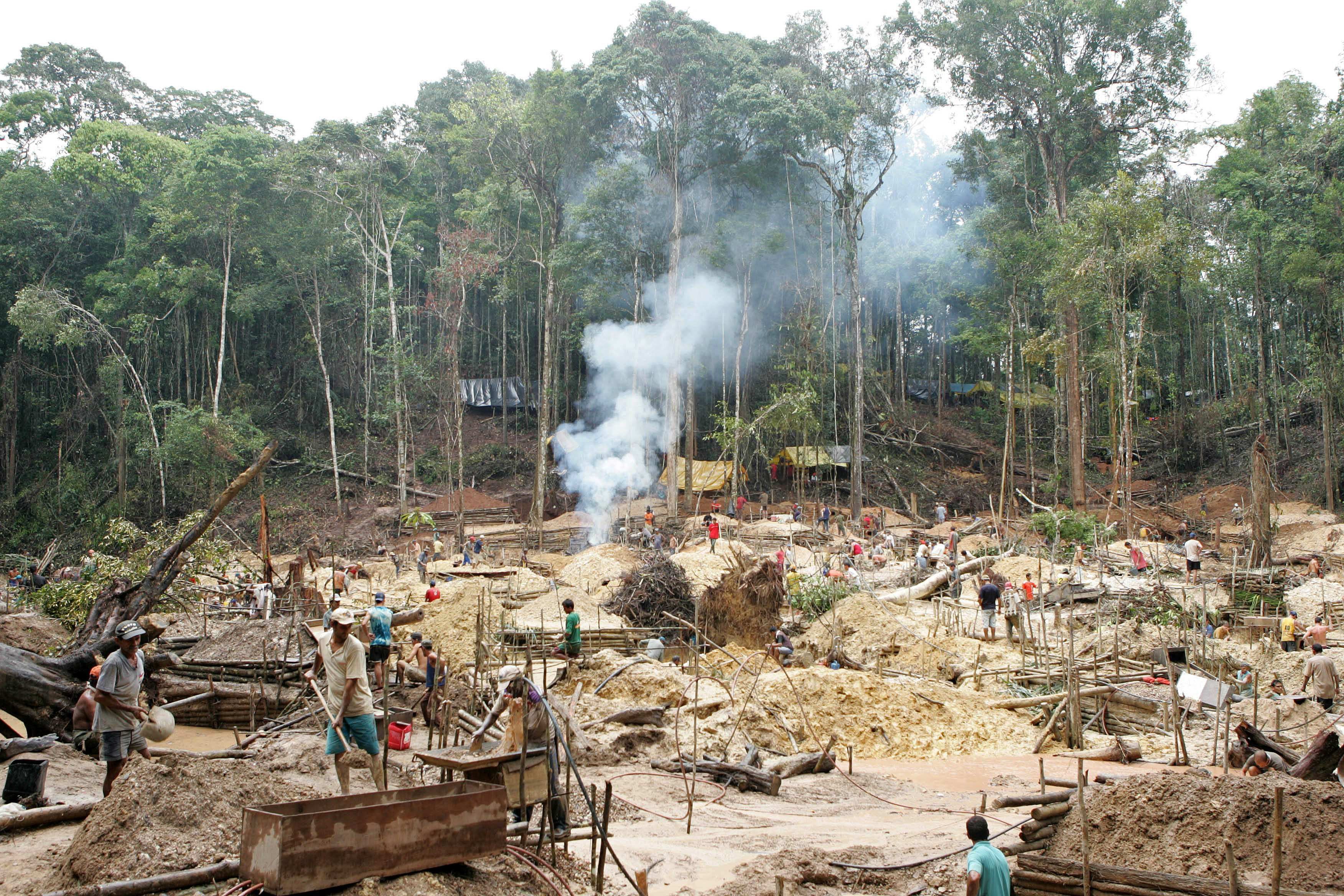 Minería del Oro acelera deforestación sudamericana