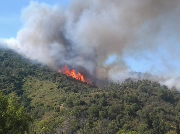 Alerta roja en San Antonio por incendio que ha devastado 86 hectáreas en sector de Cuncumén