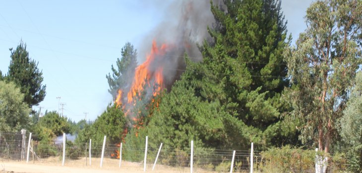 Detienen a Capitán de bomberos acusado de iniciar incendio forestal en Curanilahue
