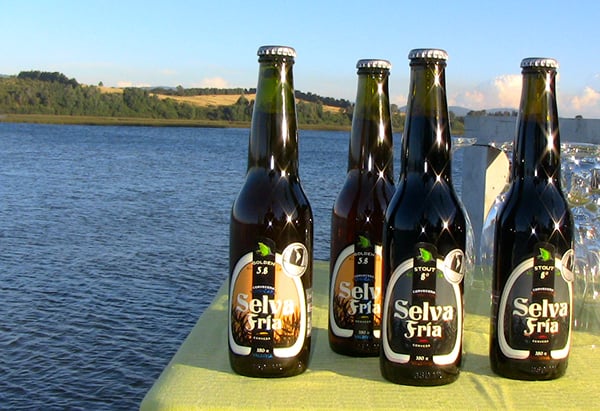 7 cervezas artesanales imperdibles para probar este verano en Valdivia