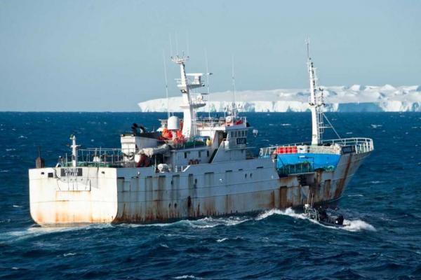 Localizan navíos “españoles” que pescan ilegalmente merluza en la Antártica