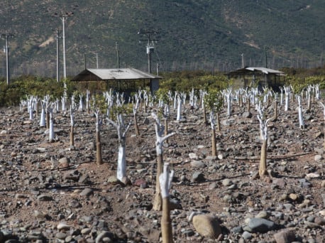 Petorca: Informe de INDH determina contaminación de aguas potables