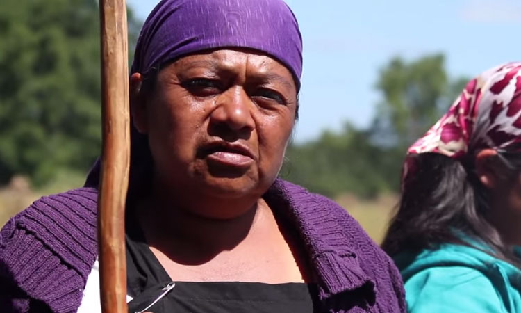 Denuncian a Carabineros por montaje luego de quemar bosques sagrados mapuche (VIDEO)