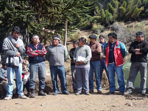 Comunidades Cayupán y Felipin denuncian usurpación de territorio ancestral