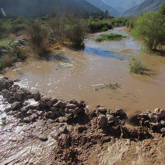Pascua Lama: Vecinos del Valle del Huasco presentaron nuevas denuncias por contaminación de aguas