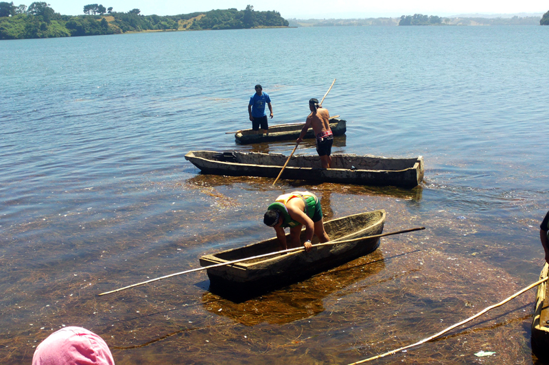 Rescatan ancestral técnica de navegación mapuche con el Wampo