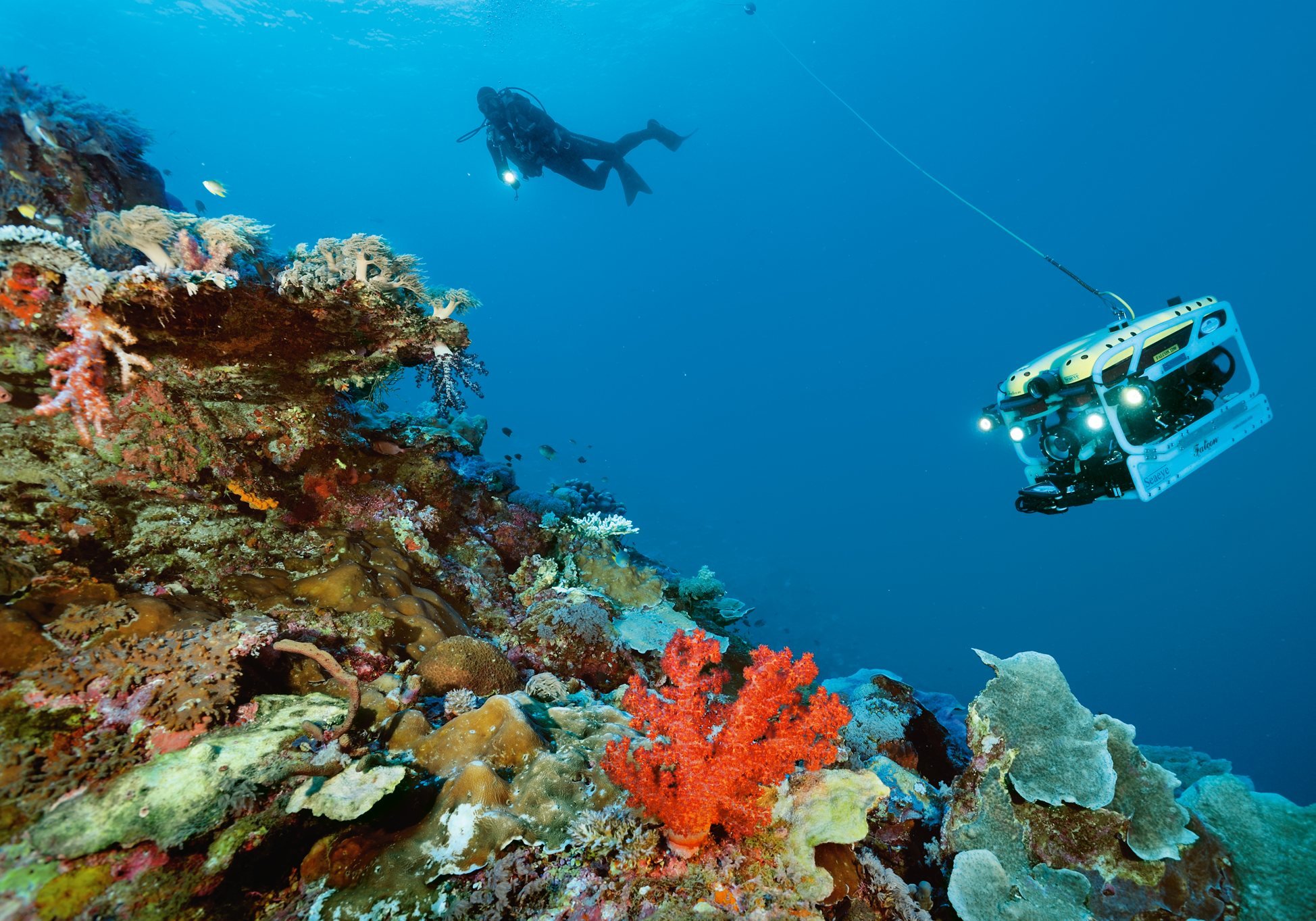 Prohíben pesca de arrastre en los montes submarinos del país