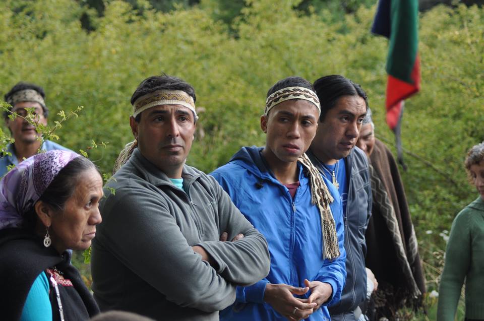 Comunidad Paicil Antriao inicia recuperación de su territorio histórico