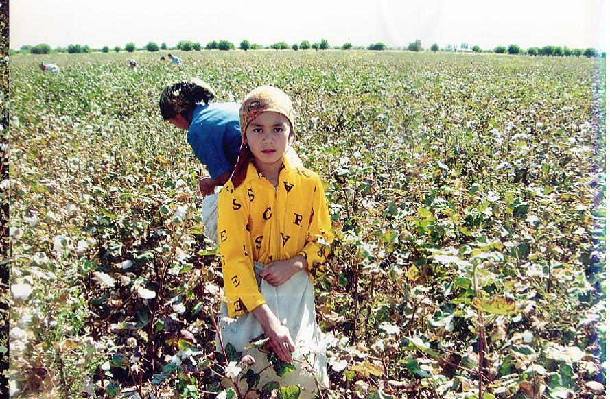 La esclavitud moderna en los campos de algodón: el Banco Mundial rechaza investigación sobre trabajo forzado en uno de los estados más represivos del planeta