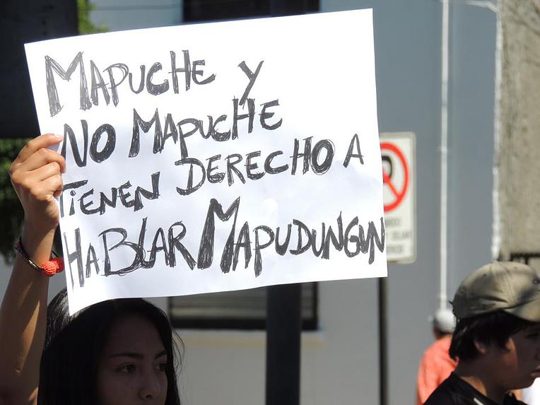 Aprueban ordenanza que declara lengua co-oficial el Mapuzugun en Galvarino
