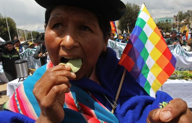El masticado de hoja de coca es una expresión de la cultura andina que no tiene relación con el narcotráfico