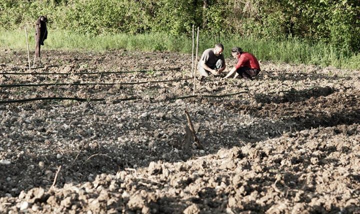 La Belle Verte: Una comuna agrícola comunista libertaria en Italia