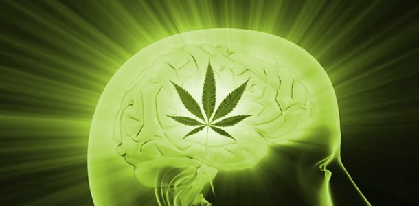 Químico de cannabis evitaría recaídas en personas que se recuperan de adicciones