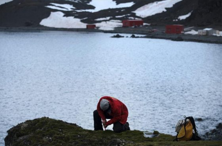 La Antártica, un laboratorio para el estudio del cambio climático en el planeta