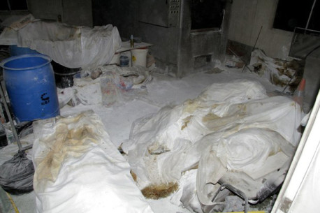 Hallan niños entre los 60 cuerpos del crematorio abandonado en Acapulco