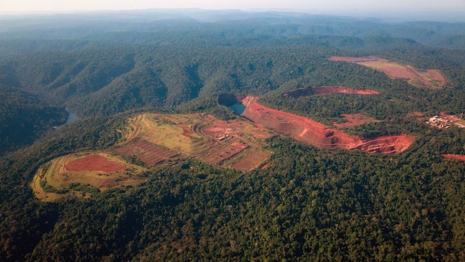 Conoce las 500 instituciones que tienen el poder de acabar con la deforestación en 2020