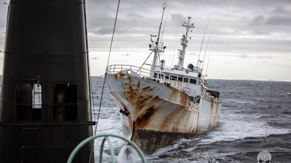 Interceptan a navíos “españoles” que pescaban ilegalmente merluza en la Antártica