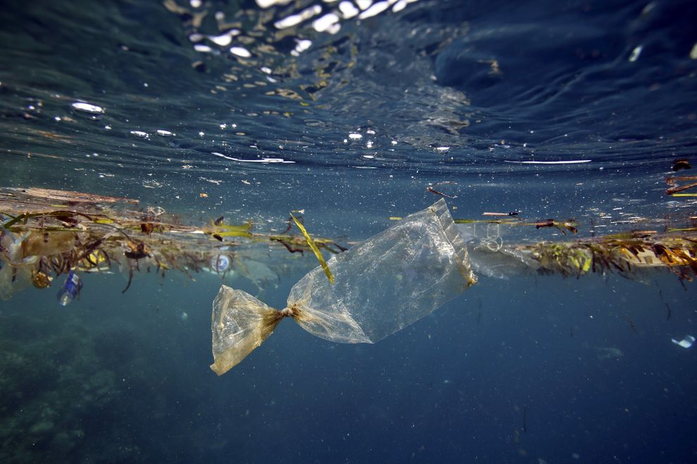 Estudio sugiere que los océanos tragan aproximadamente 13 millones de toneladas de plástico al año