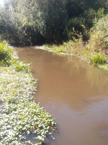 Comunidad denuncia contaminación de aguas por actividades de latifundista alemán