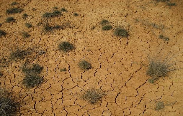 Decretan escasez hídrica en regiones de Coquimbo y Atacama