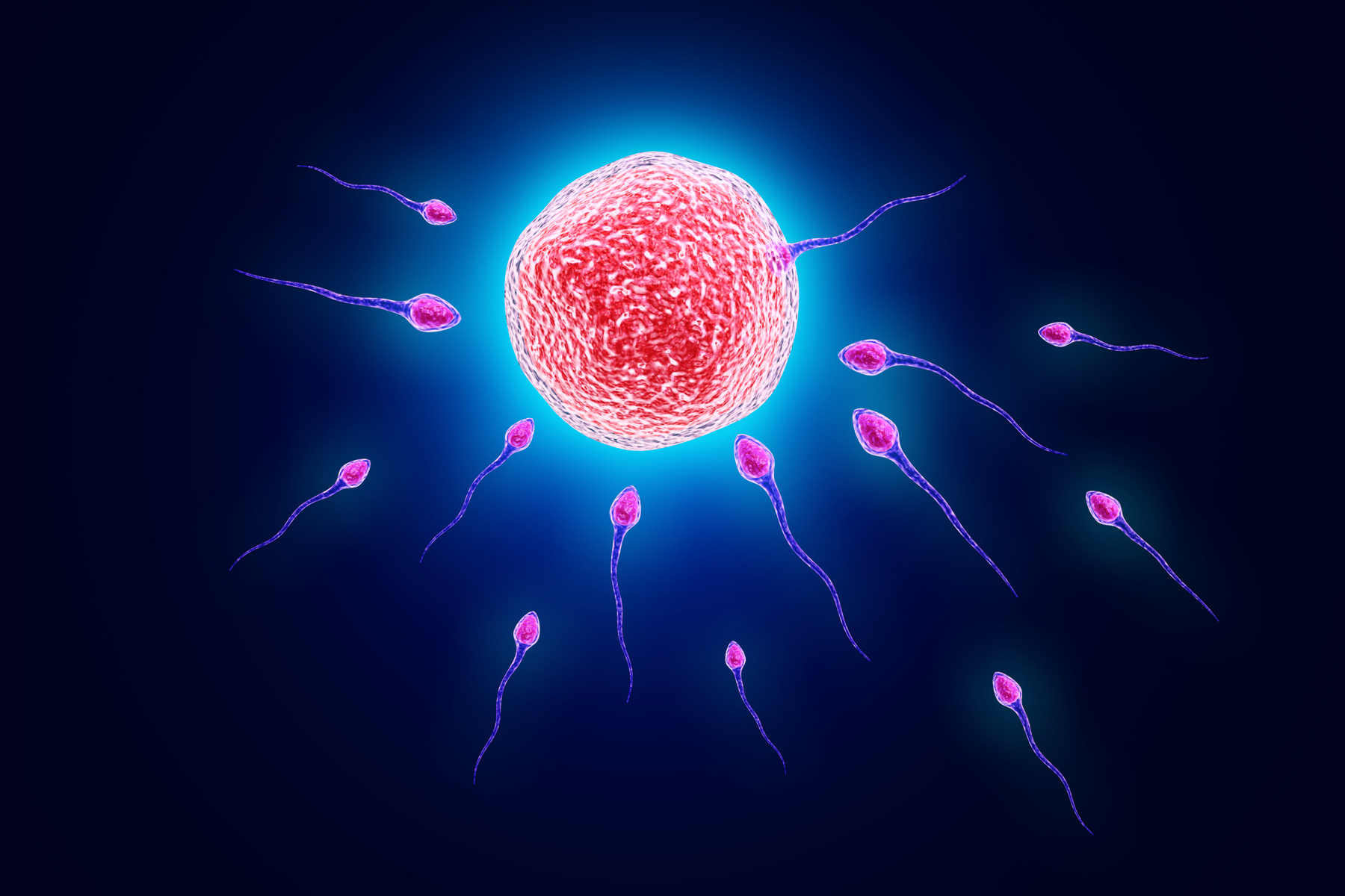 Beneficio de la reproducción sexual: nos hace menos propensos a las enfermedades a largo plazo