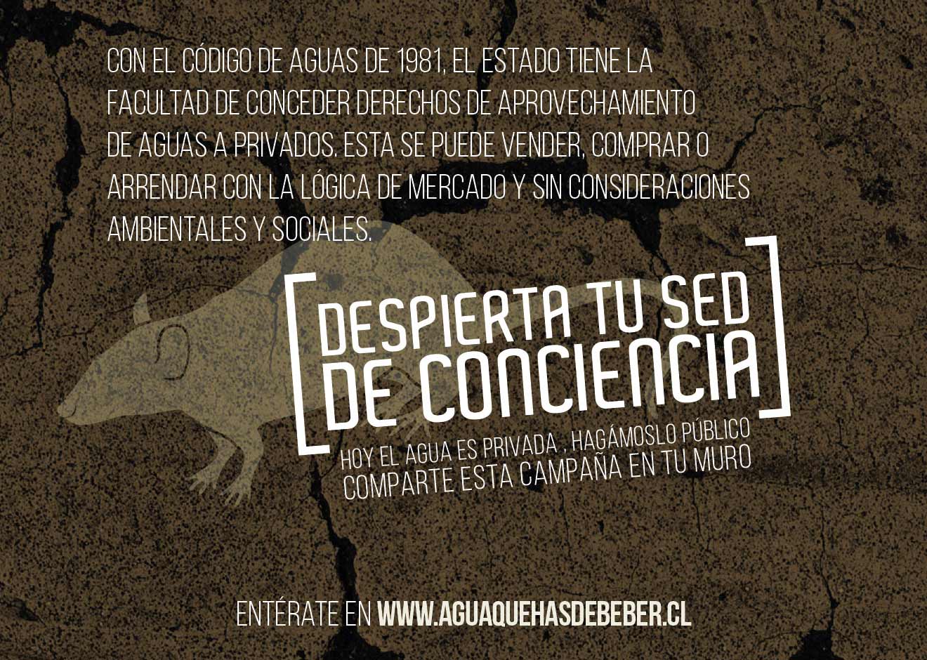 Despierta tu Sed de Conciencia