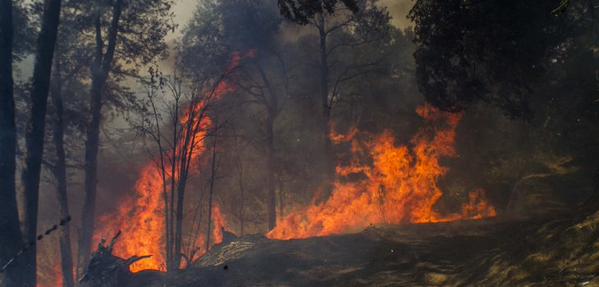 Tras 10 días de siniestro declaran alerta roja por incendios en La Araucanía