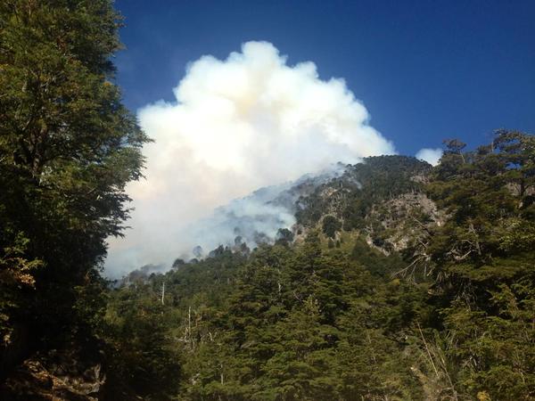 Incendio de bosque nativo en Melipeuco avanza sin control