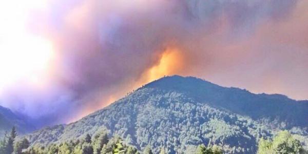 Incendio en Melipeuco llegó a Parque Nacional Conguillío