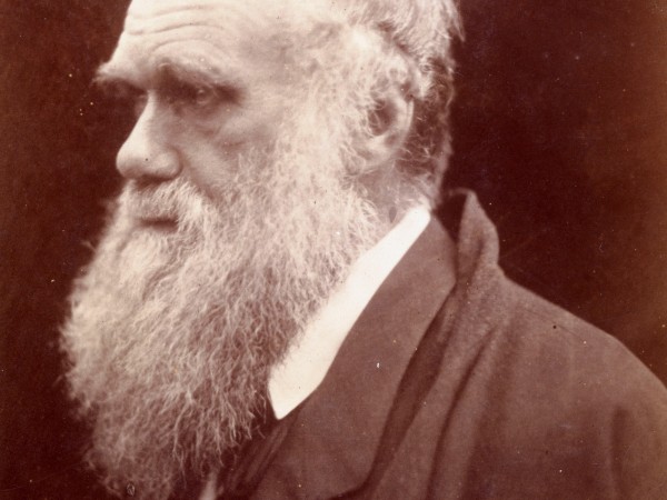 Los mitos sobre Charles Darwin