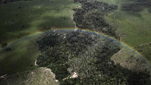 Colombia busca crear con Venezuela y Brasil el mayor corredor ecológico del mundo