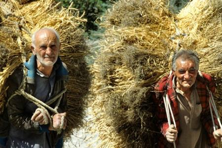 Los habitantes vegetarianos de un pueblo de la India viven 120 años y las mujeres con 65 años dan a luz