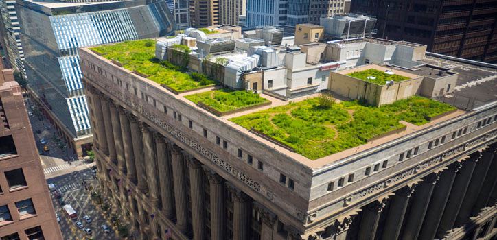 En Francia una nueva ley obliga a construir edificios con tejados verdes