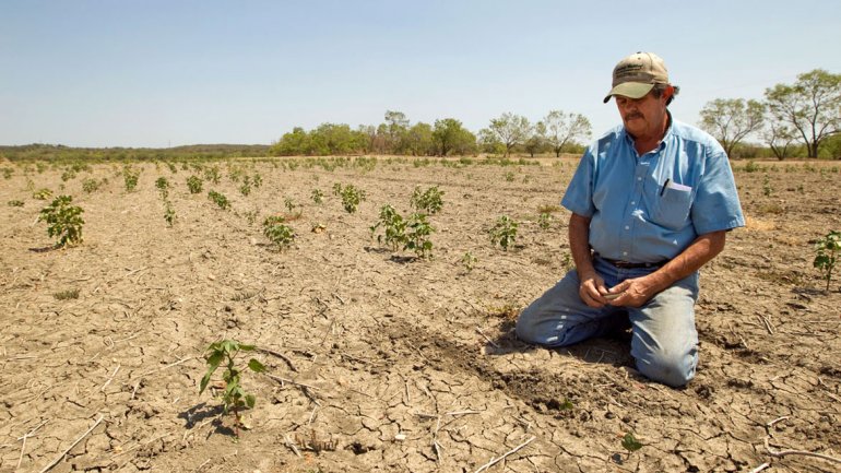 Grave sequía en la zona sur anuncia una dura temporada invernal para agricultores y consumidores