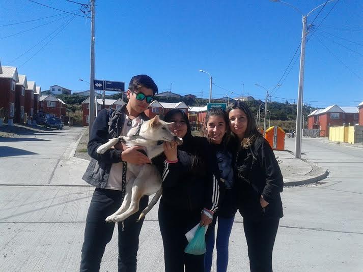 Animalistas de Puerto Montt constituyen nueva organización social y hacen un fuerte llamado a terminar con abandono de mascotas