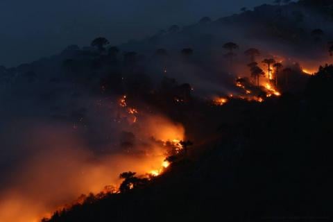 Se expanden violentos incendios en reservas: Tolhuaca, China Muerta, Conguillio, Malleco, Vilucura en la Araucanía