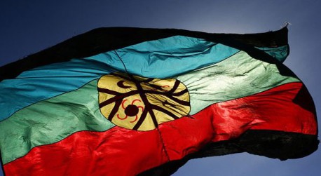Comunidad mapuche interpondrá demanta en Corte Interamericana por recuperación territorial