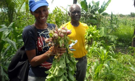 Las prohuertas en Haití mejoran la alimentación un 93%