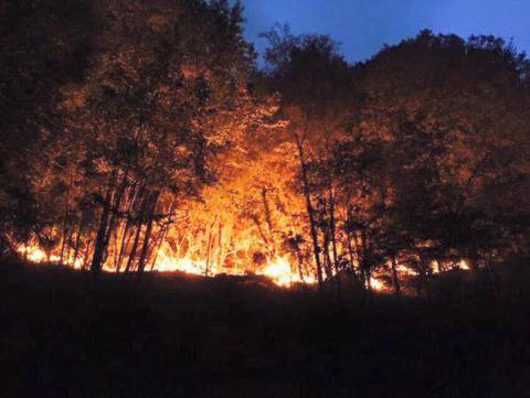 Urgente: Campaña de ayuda ante megaincendios forestales en bosque nativo