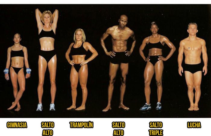 40 Tipos de cuerpo según el deporte que practican