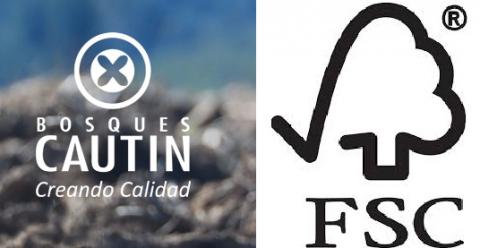 Piden respuesta formal a sello internacional FSC por actos racistas de gerente empresa forestal “Bosques Cautín”