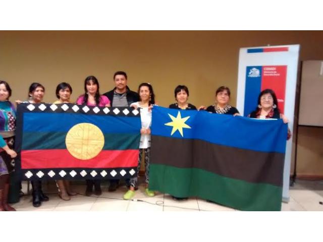 Mapuche williches eligieron a sus nuevos consejeros en Magallanes