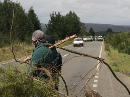 CAM reivindica tres ataques contra empresas forestales y valida acciones de sabotaje
