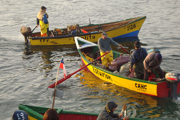 La necesidad de ampliar las 5 millas de la pesca artesanal para asegurar los alimentos a los chilenos