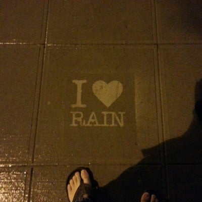 ¡Otoño mágico! «Rainworks»: El arte que se activa con la lluvia.
